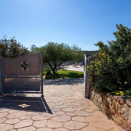 Risveglio Con Alba *